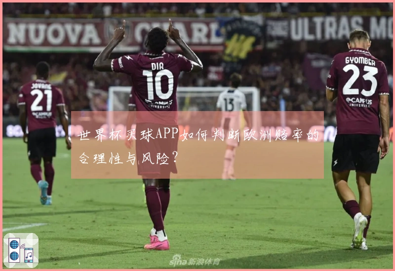 世界杯买球APP如何判断欧洲赔率的合理性与风险？