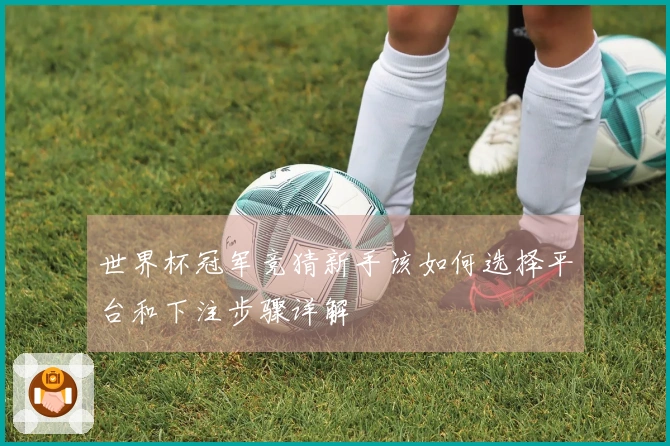 世界杯冠军竞猜新手该如何选择平台和下注步骤详解