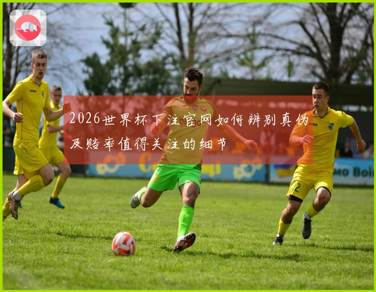 2026世界杯下注官网如何辨别真伪及赔率值得关注的细节
