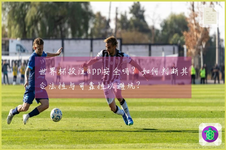 世界杯投注app安全吗?如何判断其合法性与可靠性以避坑?