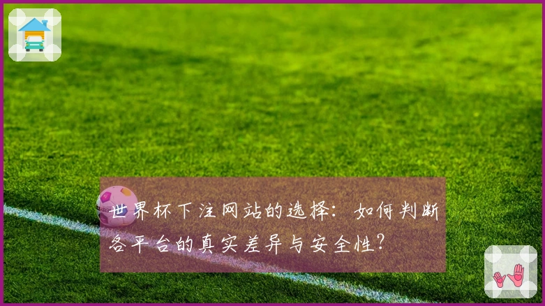 世界杯下注网站的选择：如何判断各平台的真实差异与安全性？