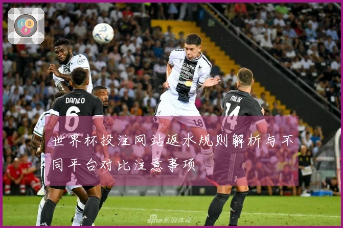 世界杯投注网站返水规则解析与不同平台对比注意事项