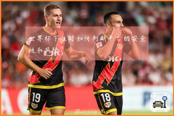 世界杯下注时如何判断平台的安全性和风险？
