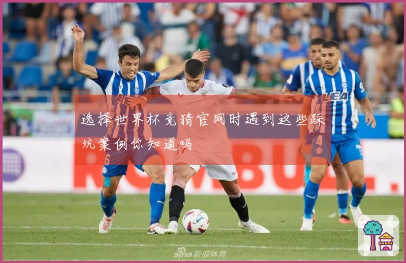 选择世界杯竞猜官网时遇到这些踩坑案例你知道吗