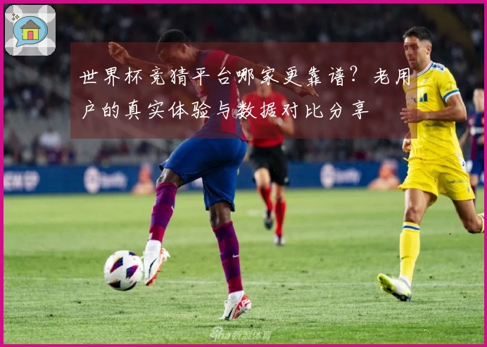 世界杯竞猜平台哪家更靠谱？老用户的真实体验与数据对比分享
