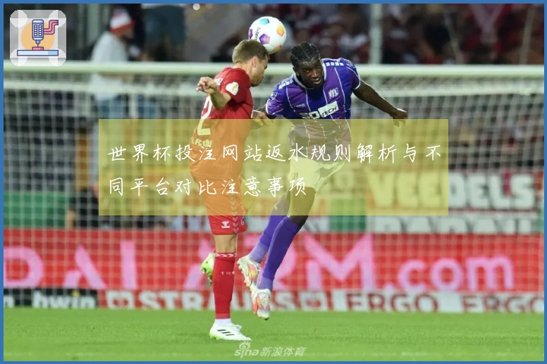 世界杯投注网站返水规则解析与不同平台对比注意事项