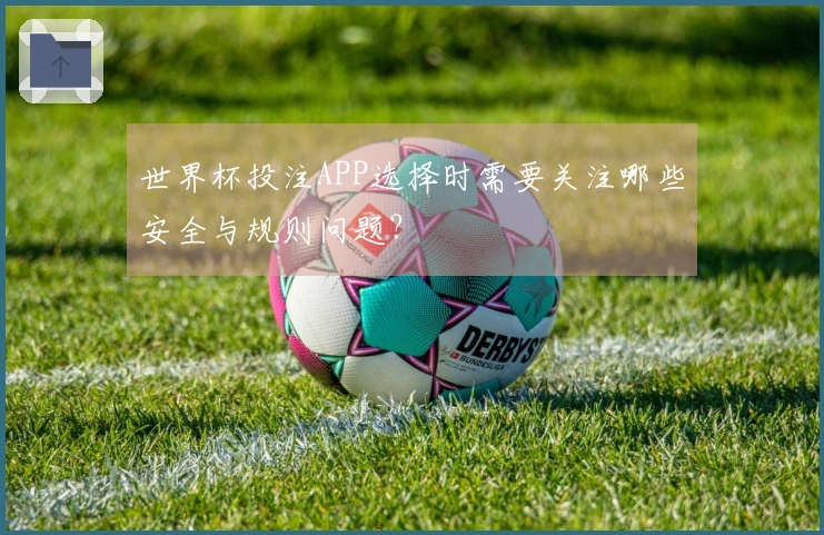 世界杯投注APP选择时需要关注哪些安全与规则问题？