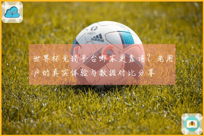 世界杯竞猜平台哪家更靠谱？老用户的真实体验与数据对比分享