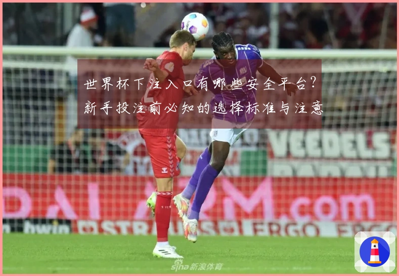 世界杯下注入口有哪些安全平台？新手投注前必知的选择标准与注意事项