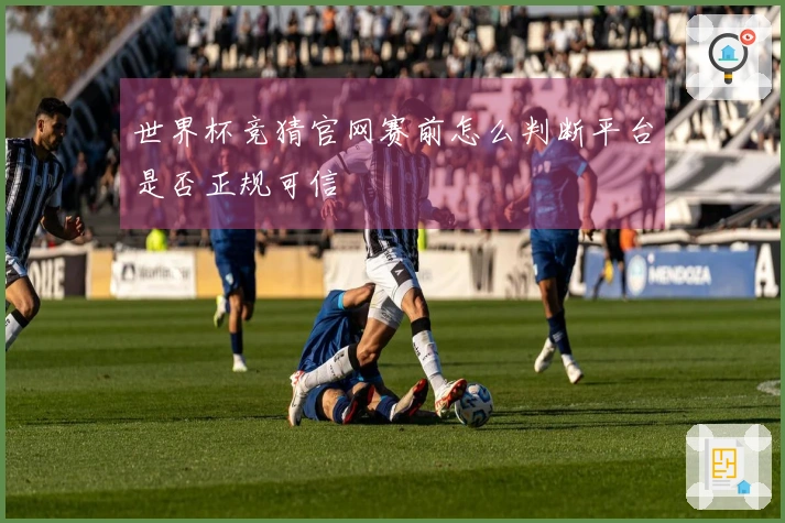世界杯竞猜官网赛前怎么判断平台是否正规可信