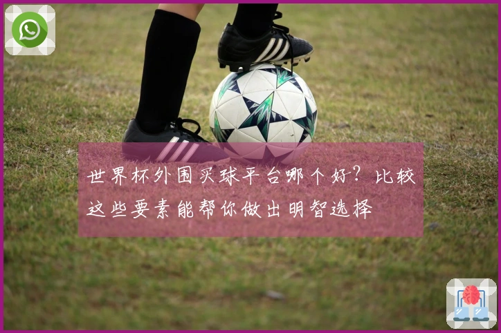 世界杯外围买球平台哪个好?比较这些要素能帮你做出明智选择