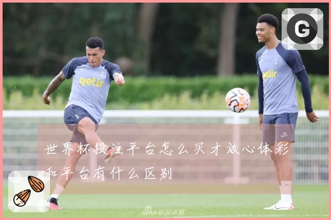 世界杯投注平台怎么买才放心体彩和平台有什么区别