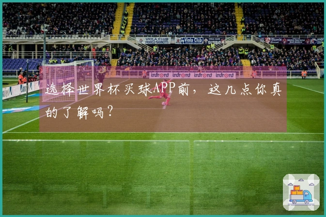 选择世界杯买球APP前，这几点你真的了解吗？