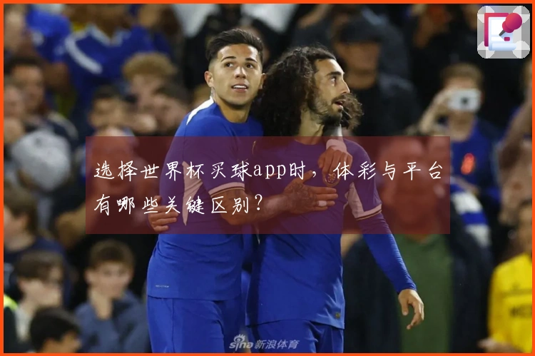 选择世界杯买球app时，体彩与平台有哪些关键区别？