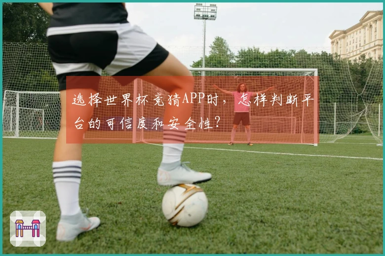选择世界杯竞猜APP时，怎样判断平台的可信度和安全性？
