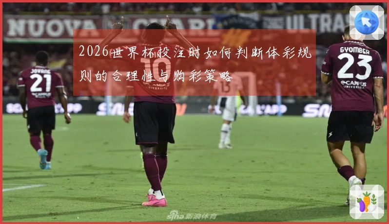 2026世界杯投注时如何判断体彩规则的合理性与购彩策略
