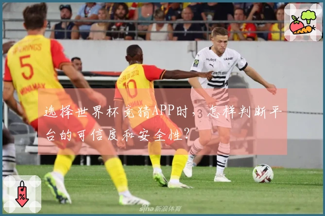 选择世界杯竞猜APP时，怎样判断平台的可信度和安全性？