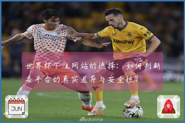 世界杯下注网站的选择：如何判断各平台的真实差异与安全性？