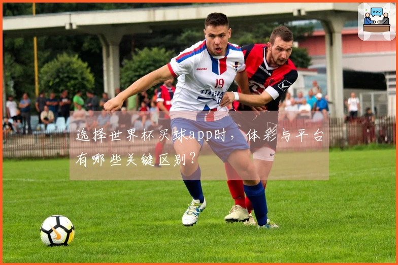 选择世界杯买球app时，体彩与平台有哪些关键区别？