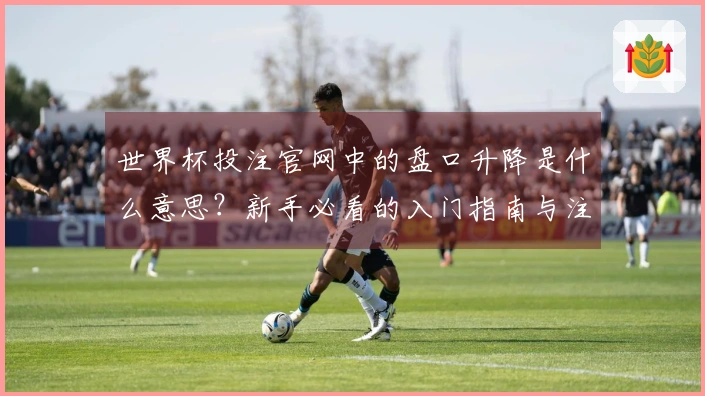 世界杯投注官网中的盘口升降是什么意思？新手必看的入门指南与注意事项