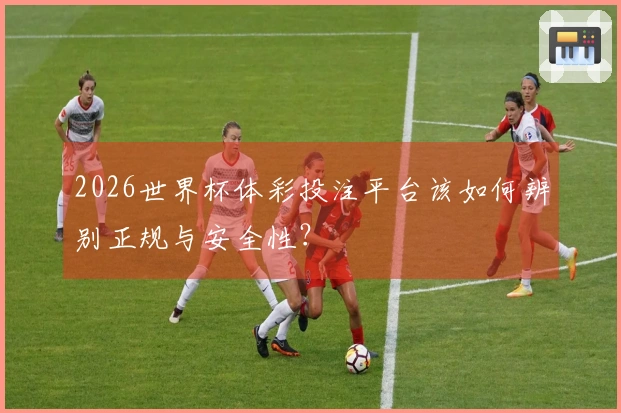 2026世界杯体彩投注平台该如何辨别正规与安全性？