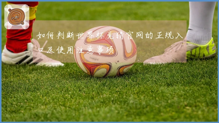 如何判断世界杯竞猜官网的正规入口及使用注意事项