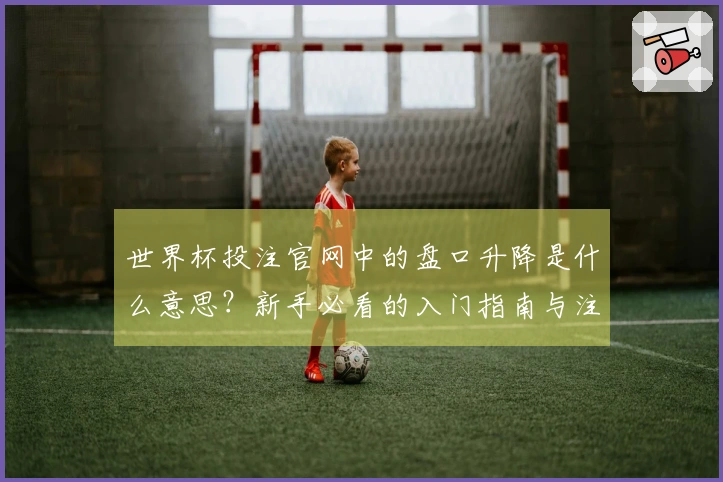 世界杯投注官网中的盘口升降是什么意思？新手必看的入门指南与注意事项