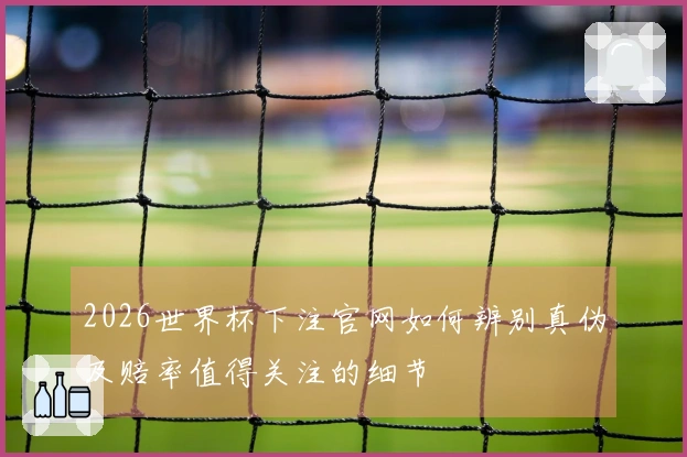 2026世界杯下注官网如何辨别真伪及赔率值得关注的细节
