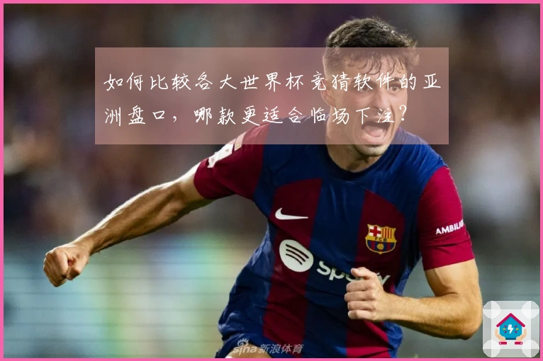 如何比较各大世界杯竞猜软件的亚洲盘口，哪款更适合临场下注？