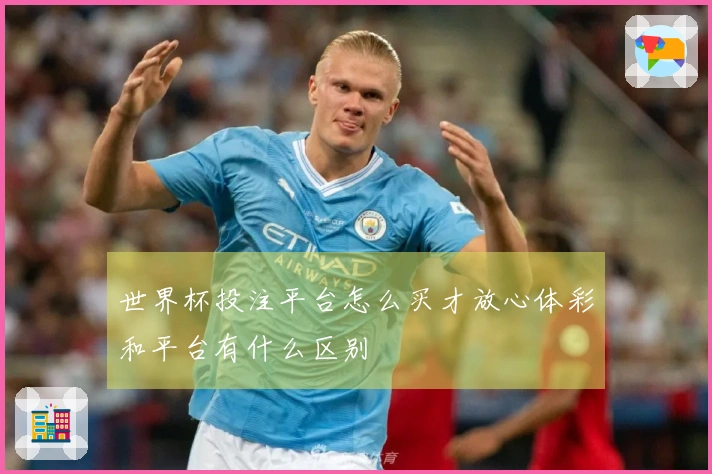 世界杯投注平台怎么买才放心体彩和平台有什么区别